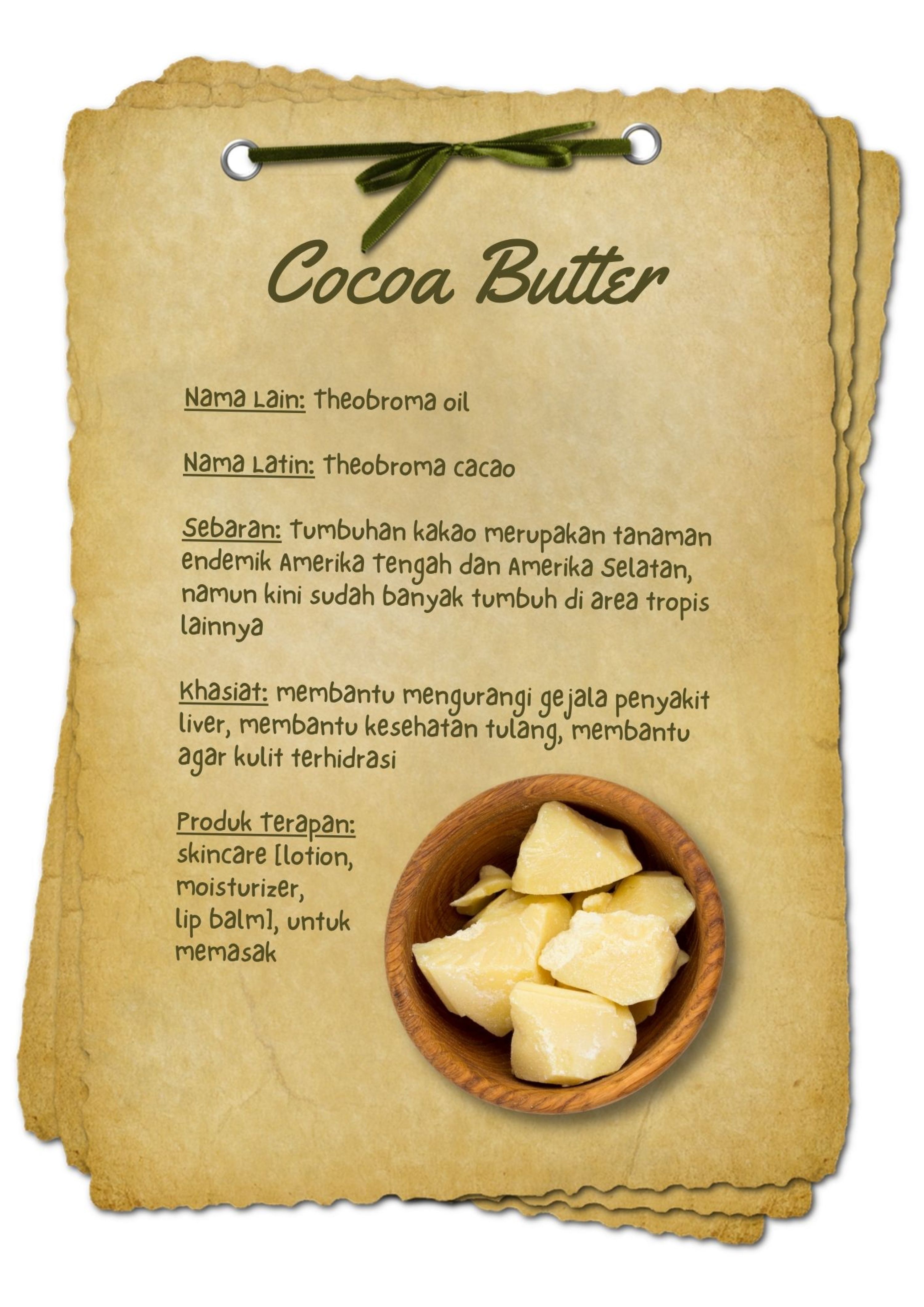 BAHAN AKTIF Cocoa Butter.jpg